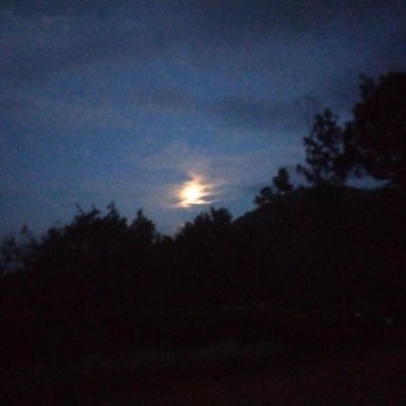 Abiyal Mountain Stay Madikeri Ngoại thất bức ảnh